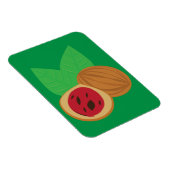 Nootmuskaat Magneet (Rechterzijde)