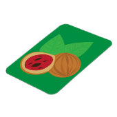 Nootmuskaat Magneet (Linkerzijde)