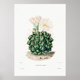 Nopal Tekening van een Plant van Cactus Flower Cac Poster