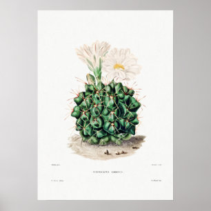 Nopal Tekening van een Plant van Cactus Flower Cac Poster