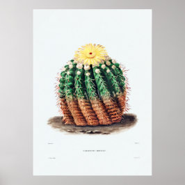 Nopal Tekening van een Plant van Cactus Flower Cac Poster