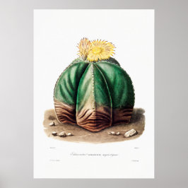 Nopal Tekening van een Plant van Cactus Flower Cac Poster