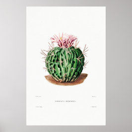 Nopal Tekening van een Plant van Cactus Flower Cac Poster