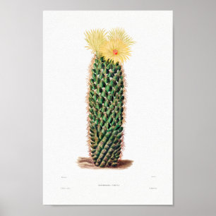 Nopal Tekening van een Plant van Cactus Flower Cac Poster
