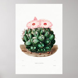Nopal Tekening van een Plant van Cactus Flower Cac Poster