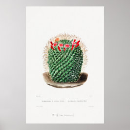 Nopal Tekening van een Plant van Cactus Flower Cac Poster