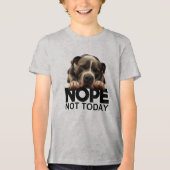 Nope niet vandaag Pitbull Tri-Blend Shirt (Voorkant)