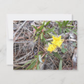 Nophis bedankkaart (Voorkant)