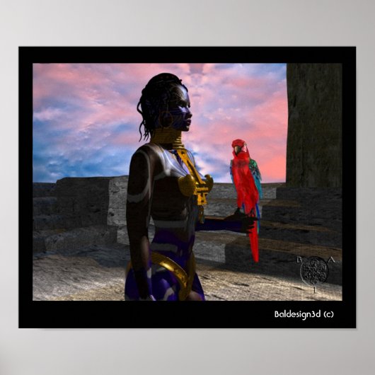 NORA CYBER WARRIOR POSTER (Voorkant)