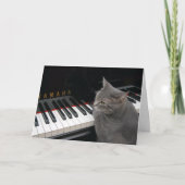 Nora de Piano Cat - Blank gevouwen kaart - Stijl 7 (Voorkant)