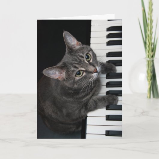 Nora The Piano Cat - Blank Folded Card - Style 001 Kaart (Voorkant)