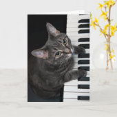 Nora The Piano Cat - Blank Folded Card - Style 001 Kaart (Gele Bloem)