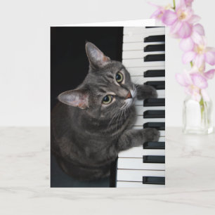 Nora The Piano Cat - Blank Folded Card - Style 001 Kaart