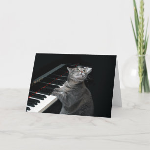 Nora The Piano Cat - Blank Folded Card - Style 002 Kaart