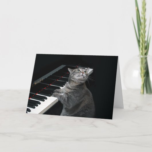 Nora The Piano Cat - Blank Folded Card - Style 002 Kaart (Voorkant)