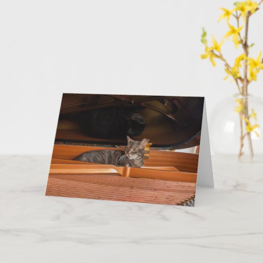 Nora The Piano Cat - Blank Folded Card - Style 003 Kaart (Gele Bloem)