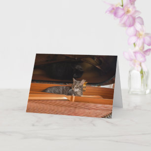 Nora The Piano Cat - Blank Folded Card - Style 003 Kaart