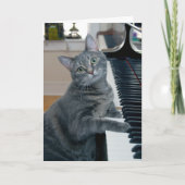 Nora The Piano Cat - Blank Folded Card - Style 004 Kaart (Voorkant)