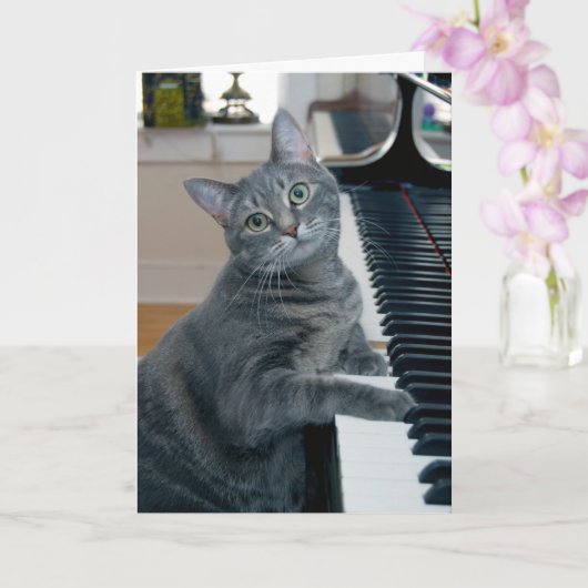 Nora The Piano Cat - Blank Folded Card - Style 004 Kaart (Orchidee)