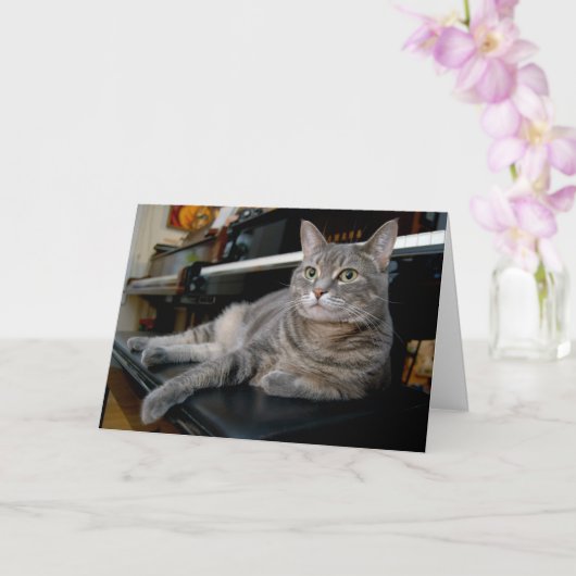 Nora The Piano Cat - Blank Folded Card - Style 005 Kaart (Orchidee)