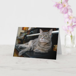 Nora The Piano Cat - Blank Folded Card - Style 005 Kaart