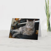 Nora The Piano Cat - Blank Folded Card - Style 005 Kaart (Voorkant)