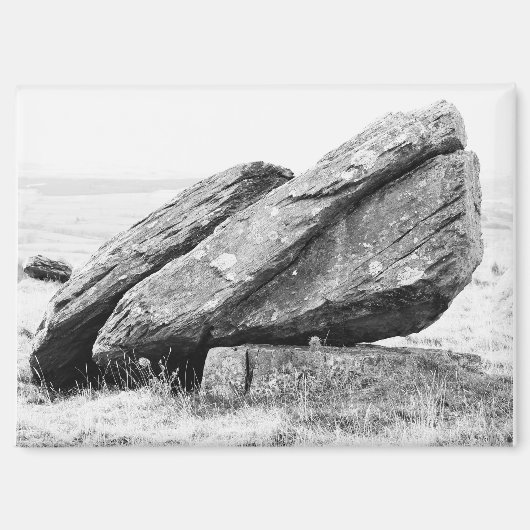 Norber-grillige magneet (Voorkant)