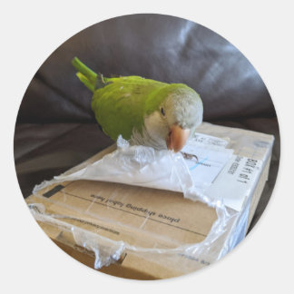 Norbert de Parrot houdt van het openen van arrange Ronde Sticker