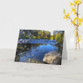 NorCal Natuur Wenskaart: Creek Sparkle Kaart (Gele Bloem)