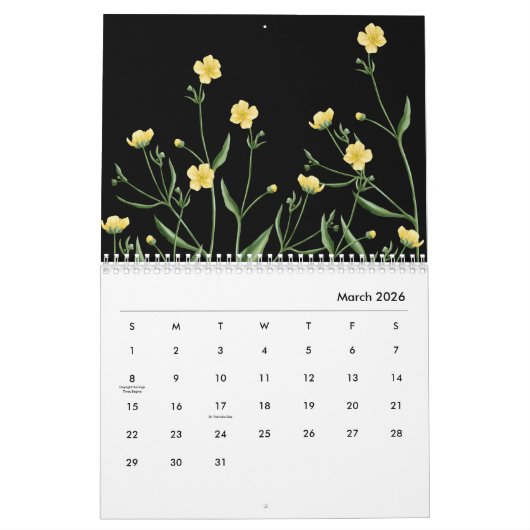 Nordens Wildflower Kalender (Mar 2026)