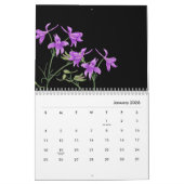 Nordens Wildflower Kalender (Jan 2026)