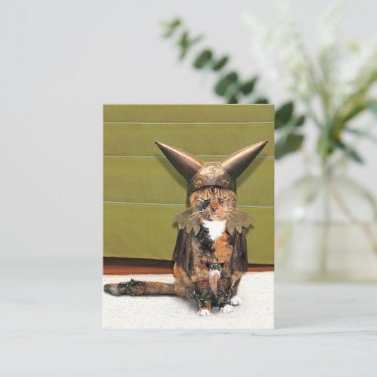 Nordic Cat is niet geamuseerd Briefkaart (Staand voorkant)