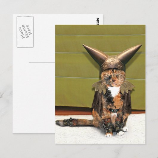 Nordic Cat is niet geamuseerd Briefkaart (Voorkant / Achterkant)