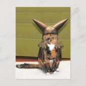 Nordic Cat is niet geamuseerd Briefkaart (Voorkant)