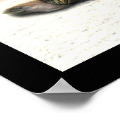 Nordic Cat is niet geamuseerd Poster (Hoek)