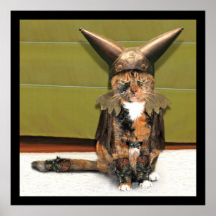 Nordic Cat is niet geamuseerd Poster