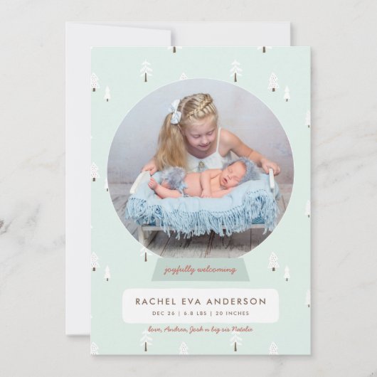 Nordic Winter New Baby Eerste Kerstmis Snowglobe Feestdagenkaart (Voorkant)