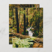 Nordic Woods Briefkaart (Voorkant / Achterkant)