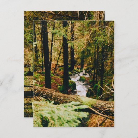 Nordic Woods Briefkaart (Voorkant / Achterkant)