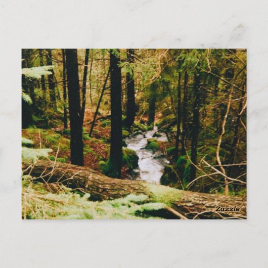 Nordic Woods Briefkaart (Achterkant)