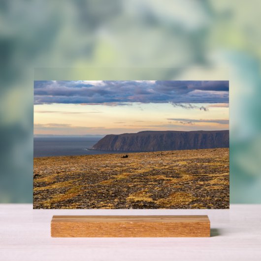 Nordkapp Acryl Bord (Neutraal)