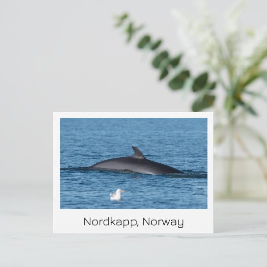 Nordkapp, Noorwegen souvenir briefkaart. Briefkaart (Staand voorkant)