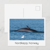 Nordkapp, Noorwegen souvenir briefkaart. Briefkaart (Voorkant / Achterkant)