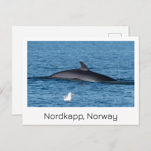Nordkapp, Noorwegen souvenir briefkaart. Briefkaart (Voorkant / Achterkant)