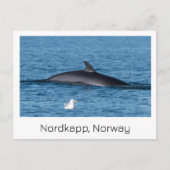 Nordkapp, Noorwegen souvenir briefkaart. Briefkaart (Voorkant)