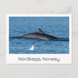 Nordkapp, Noorwegen souvenir briefkaart. Briefkaart
