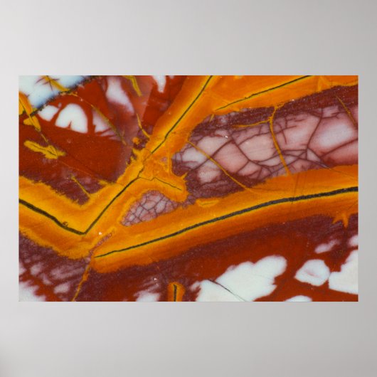 Noreena Jasper Rotsplaat Poster (Voorkant)