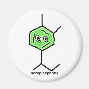 Norepinefrine Magnet