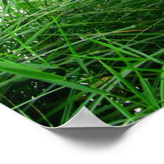 Norfolk Broads Poster (Hoek)