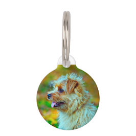 Norfolk doodsbang Dog. Huisdierpenning